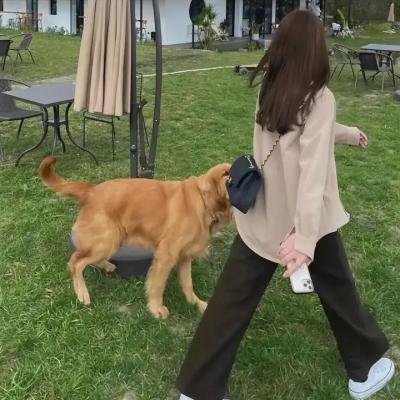 不是艺术家 海报